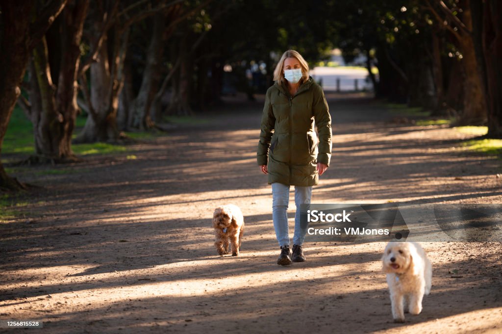 Seniors Wearing Masks Walking Dogs Senior couple walking their pets during Covid-19, wearing face marks. Melbourne - Australia Stock Photo