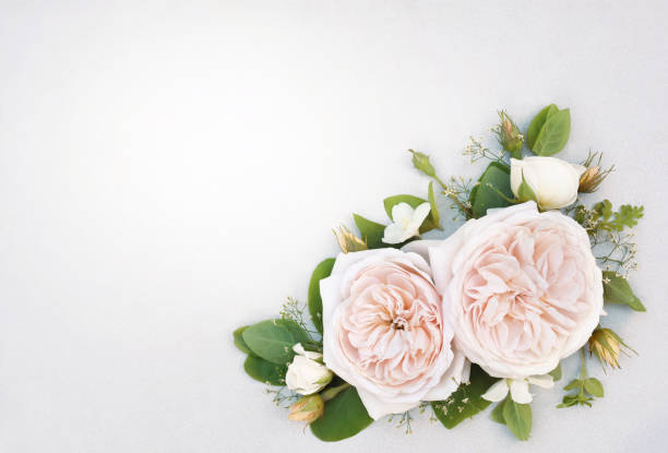 istock Delicate blossoming rose flowers frame background 1256817850