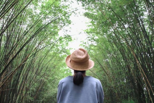 Female tourists viewing tunnel bamboo tree and walkway background.
