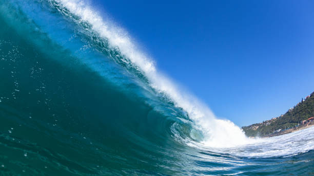 istock Ocean Wave Swimming Encounter Blue Water 1256820241