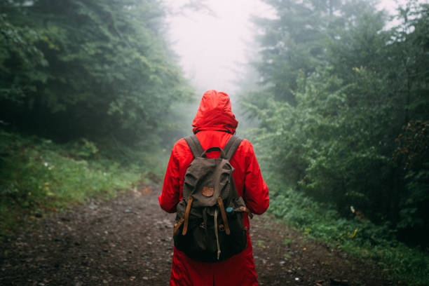 istock Hiking in the forest 1256821451