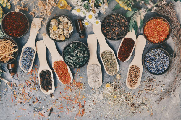 istock Toned image of medicinal flowers and herbs background 1256823231