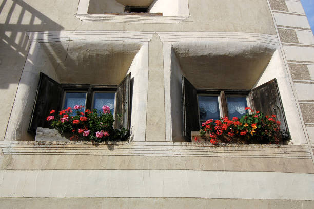 casa con ventanas de madera y flores - ardez pueblo engadina suiza - engadine rustic window frame window sill fotografías e imágenes de stock