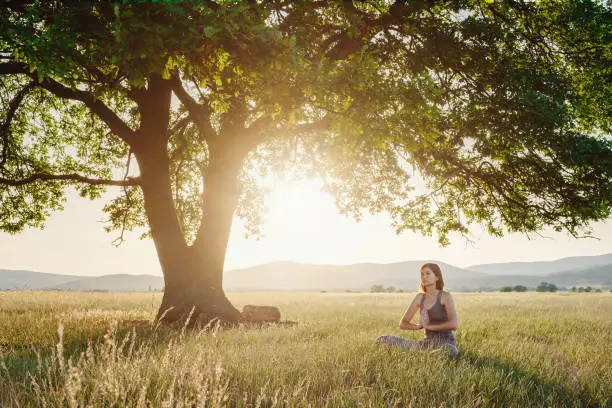 Photo of Attractive woman practices yoga in nature in summer.