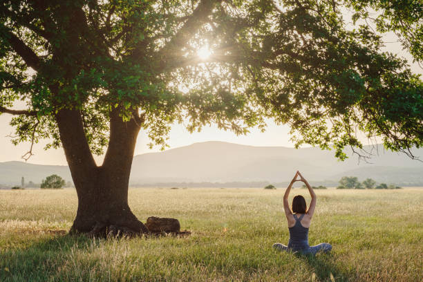 Attractive woman practices yoga in nature in summer. stock photo