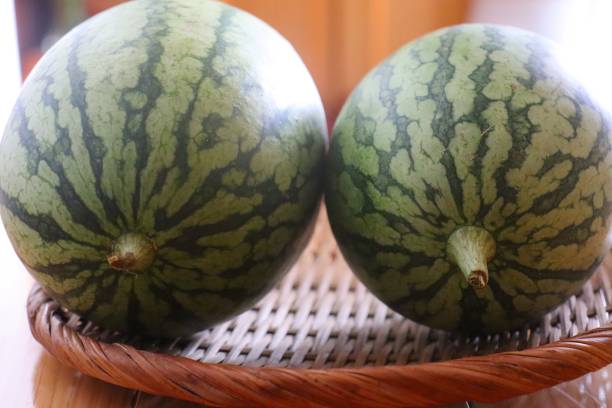 istock small watermelons “kodama suika” 1256828800