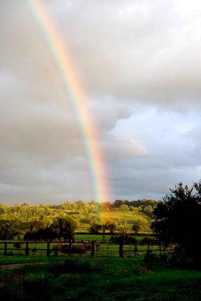 istock Rainbow on Horse Farm in Normandy 1256829319