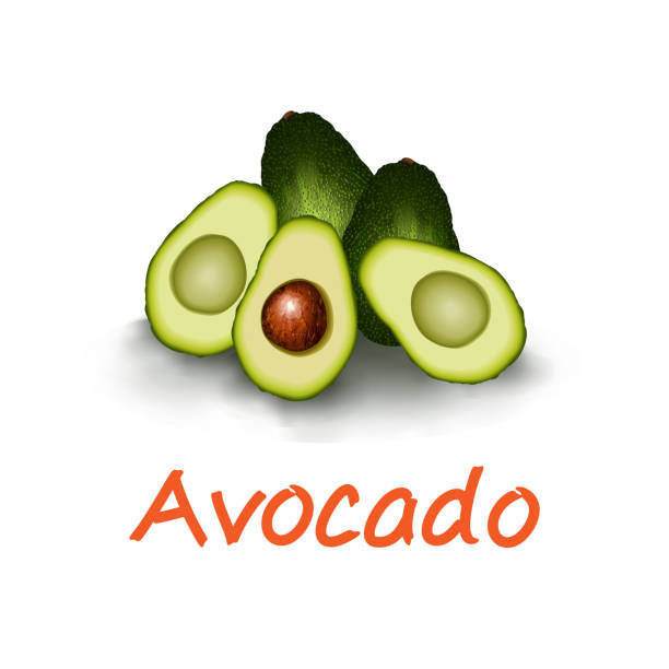 ilustraciones, imágenes clip art, dibujos animados e iconos de stock de conjunto vectorial de fruta de aguacate realista - guacamole avocado cutting white background
