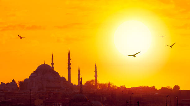 Suleymaniye Mosque at golden sunset Cityscape of Istanbul with ancient muslim architecture, minarets and turkish landmarks in an old town. Suleymaniye Mosque at golden sunset with silhouettes of arabic city and birds over the skyline. golden horn istanbul photos stock pictures, royalty-free photos & images