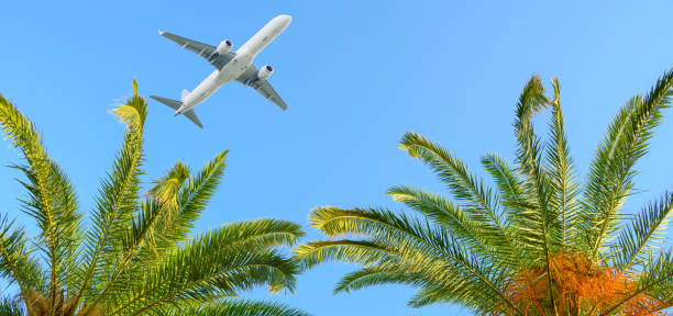 istock Airplane flying over tropical palm trees on blue sky background 1256834369