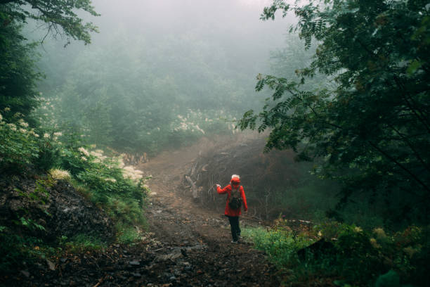 istock Girl hiking in the forest 1256836211