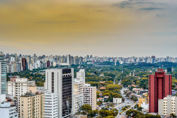 istock Mixed Residential and Business Skyline 1256837326