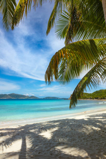 istock Smugglers Cove beach, Tortola, British Virgin Islands 1256838647