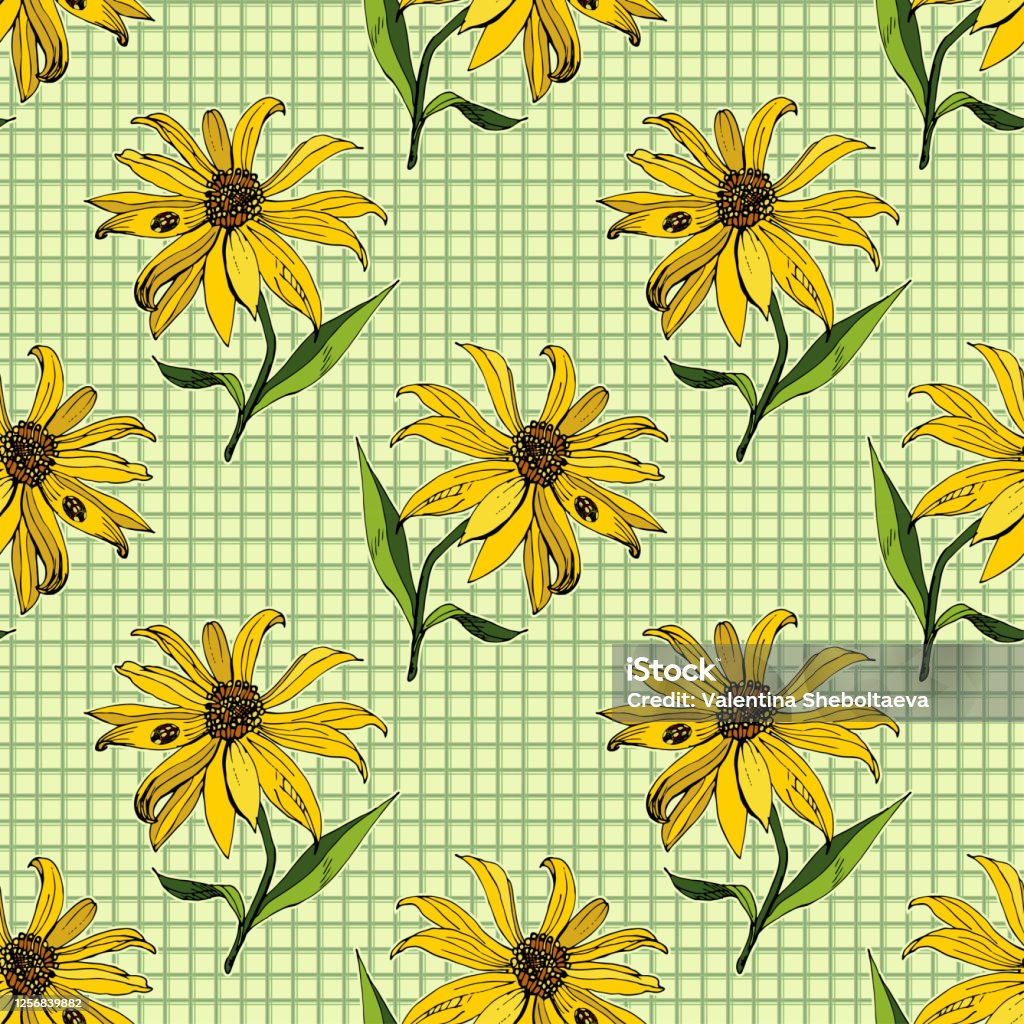 Endelig Uenighed længes efter Vector Floral Seamless Pattern Yellow Jerusalem Artichoke Flower Hand Drawn  Cartoon Style On A White Background Illustration For Fabric Design  Wallpaper Wrapping Paper Gift Wrap Print Covers Stock Illustration -  Download Image