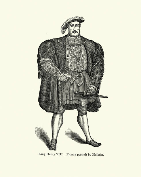король англии генрих viii - henry viii tudor style king nobility stock illustrations