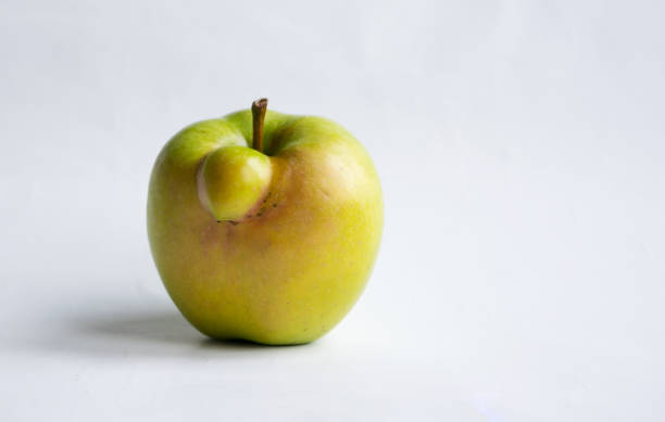 Green ugly apple on a white background. Ugly apple on a white background. Funny, unnormal fruit or food waste concept. Image with copy space, horizontal orientation. imperfection stock pictures, royalty-free photos & images