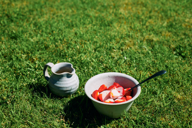 晴れた夏の日に庭の芝生の上で屋外でイチゴとクリームのボウル。 - summers day ストックフォトと画像