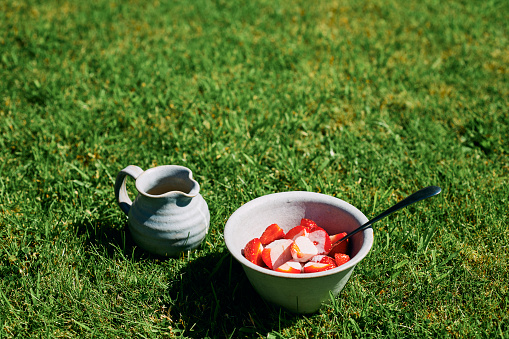 Bowl of Strawberries and Cream outdoors on a garden lawn during a sunny summers day.