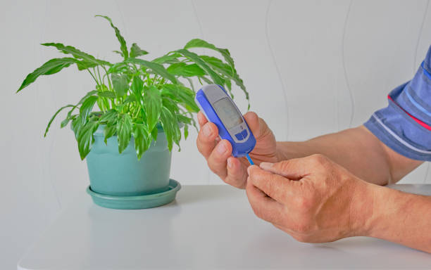 istock Hands of senior man checking blood sugar level 1256846282