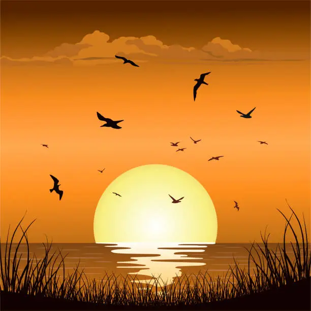 Vector illustration of Sunset Sunrise at Sea Ocean