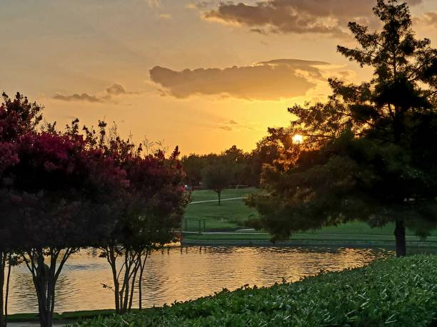 istock Sunset reflected in landscaped Lake 1256848362