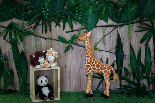 Safari Jungle themed background with giraffe, monkey and panda stuff toys.