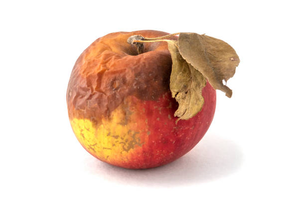 istock Spoiled red apple with 2 dry leaves isolated on white background 1256852482