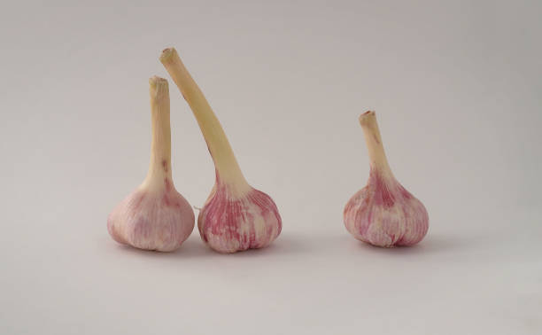 istock 3 fresh garlic cloves against light background 1256852528