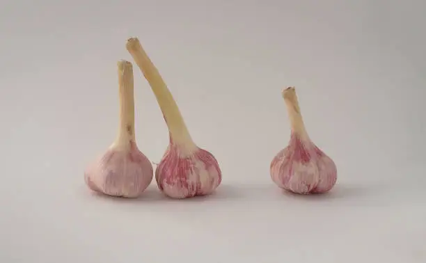 3 fresh garlic cloves against light background