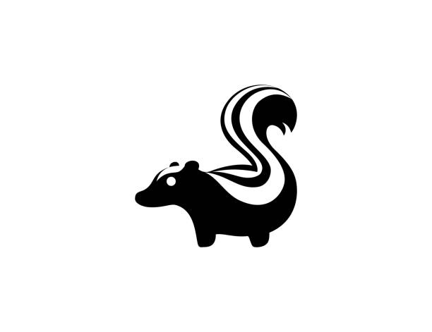 ikona skunk. izolowany symbol zwierzęcia skunk - wektor - skunk stock illustrations