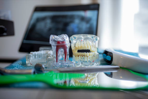 istock Prosthetic teeth at the dentist office 1256852951
