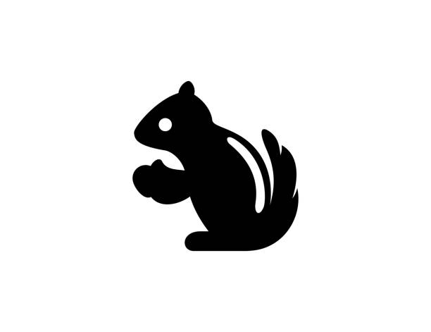 다람쥐 아이콘. 격리된 다람쥐 기호 - 벡터 - squirrel softness wildlife horizontal stock illustrations