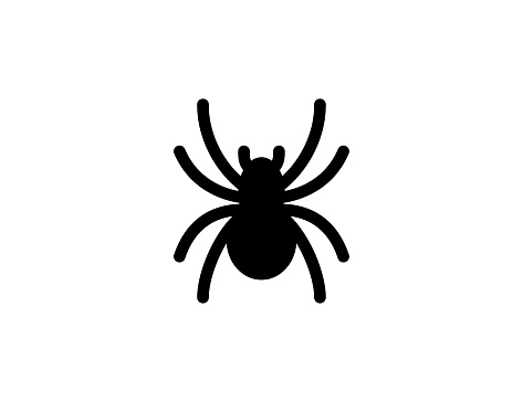 Spider icon. Isolated spider insect symbol - Vector