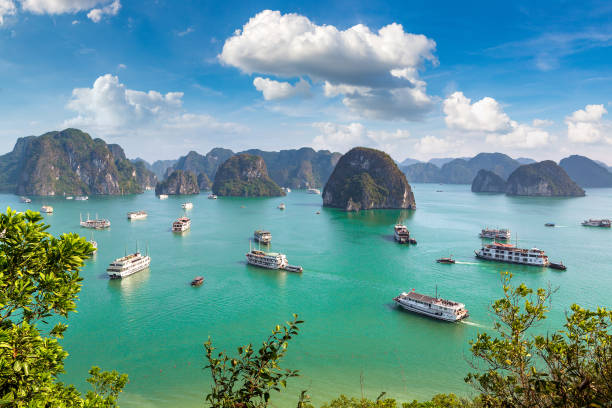 istock Halong bay, Vietnam 1256855740