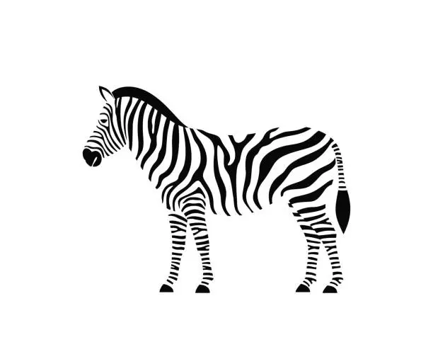 Vector illustration of Zebra logo. Isolated zebra on white background