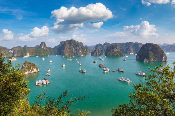 istock Halong bay, Vietnam 1256855784