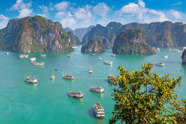 istock Halong bay, Vietnam 1256856335