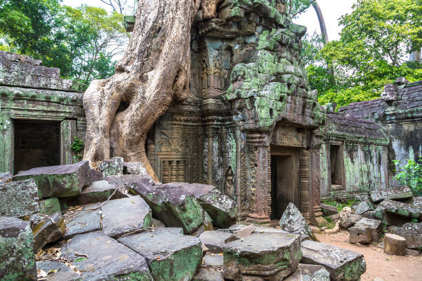 istock Ta Prohm temple in Angkor Wat 1256859135