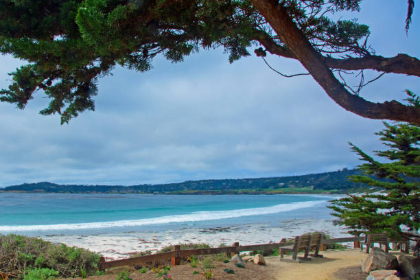 istock Ocean View-Carmel California 1256861205