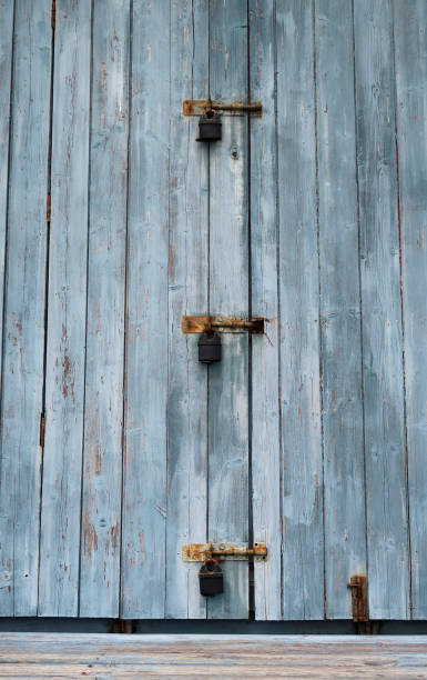 primo piano della porta della capanna in legno stagionato con tre lucchetti arrugginiti, frinton, essex - vehicle door rusty old fashioned old foto e immagini stock