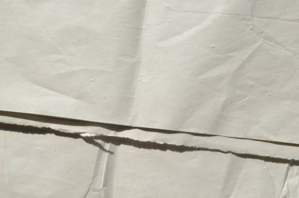 istock Creative background with scattered overlay of crumpled papers. 1256865477