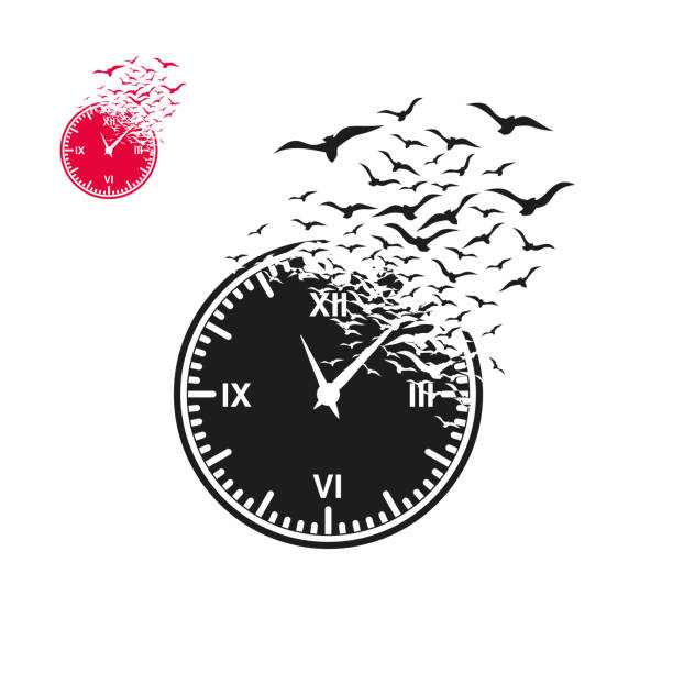 illustrations, cliparts, dessins animés et icônes de objet avec l’effet de destruction. oiseaux. - time flies