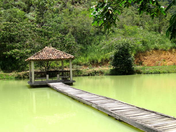 istock rustic wooden bridge in nature with elegant design over river 1256866942