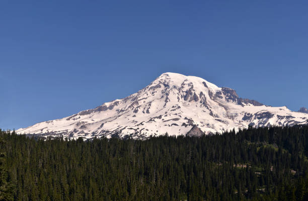 istock Snow Covered Mt Rainier in July 1256867101