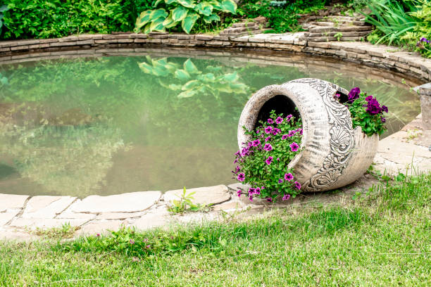 flowers are planted in broken decorative pot near the pond - flower pot vase purple decor imagens e fotografias de stock