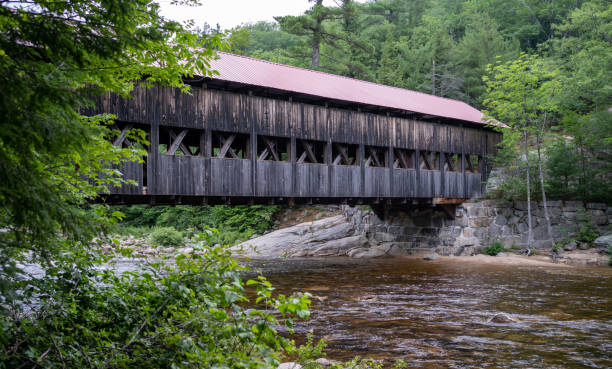 istock Wooden covered bridge over river 1256869544