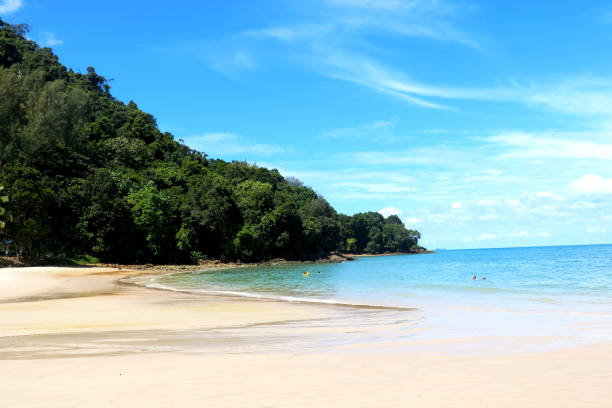 istock Coast of beach and small hill with green trees 1256869571