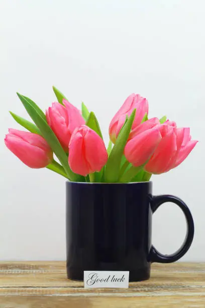 Good luck card with pink tulips in navyblue mug