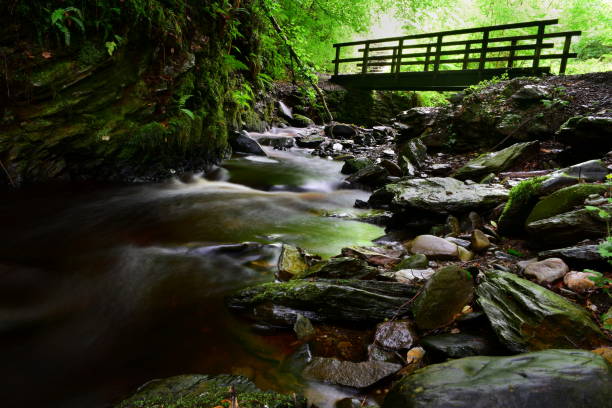 istock Bridge over the river Muff Derry Northern Ireland 1256872322