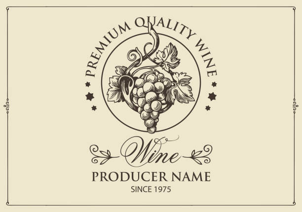 Wine label with a hand-drawn bunch of grapes and calligraphic inscription on a light background. Vector label in retro style for red and white grape wine